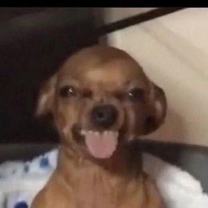 Meet your Posher, Anaisamar